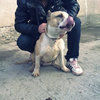 alexxx