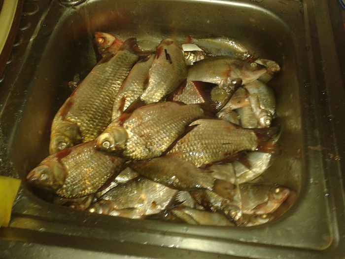 14 kg frasinet (3) - la pescuit 2014