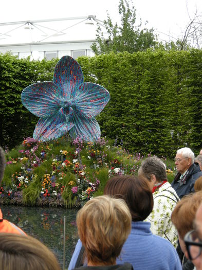 DSCN4223 - Chelsea Flower Show- 2013