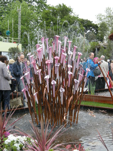 DSCN4224 - Chelsea Flower Show- 2013