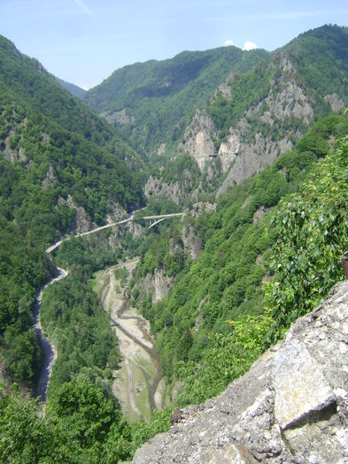 DSC01653 - CETATEA POIENARI