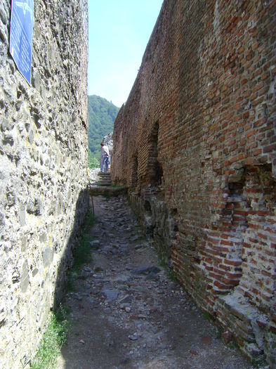 DSC01659 - CETATEA POIENARI