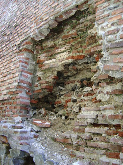 DSC01662 - CETATEA POIENARI