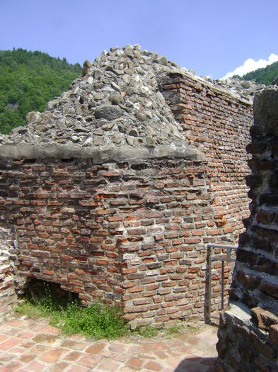 DSC01666 - CETATEA POIENARI