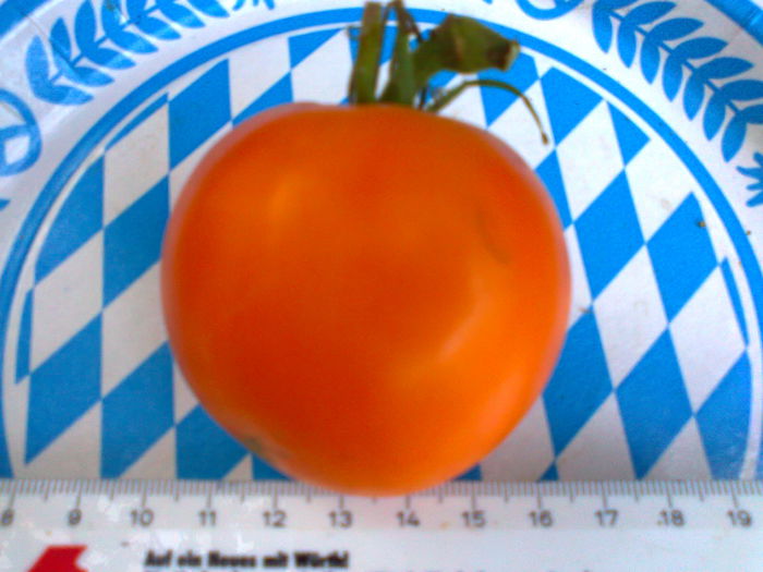 Fotografie2742 - TOMATE FOTO ALBUM 5