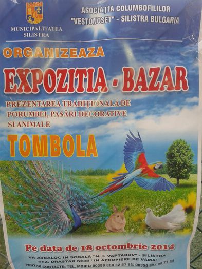  - Targuri si expozitii