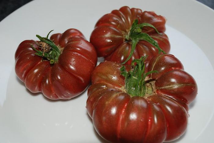 tomate purple calabash