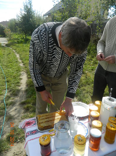 Dl. Moldovan-apicultor de 28 de ani