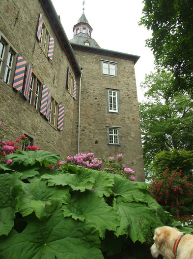 DSCF7784 - Oberes Schloss Siegen