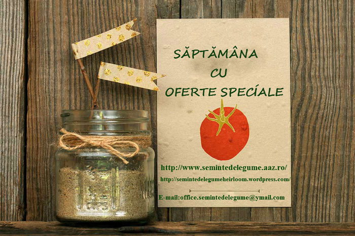 saptamana cu oferte speciale