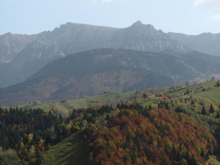 November 2014 613 - Vara - Toamna - Iarna in Transylvania