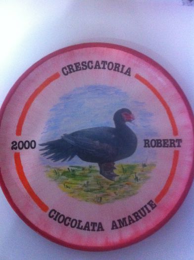 Sigla noastra; Crescatoria noastra este bazată pe selectia ratelor lesesti varietateA ciocolatie si am decis sa o numim sugestiv &quot;CIOCOLATA AMARUIE&quot;
