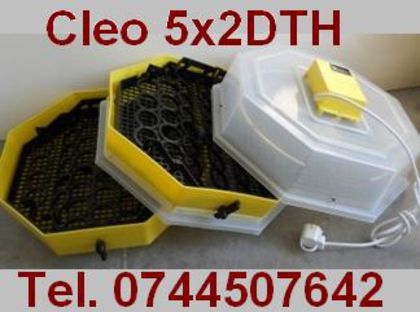 incubator cleo 5x2dth; incubatoare Cleo www.electrounivers.com
