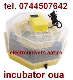 incubator pui; incubatoare Cleo www.electrounivers.com

