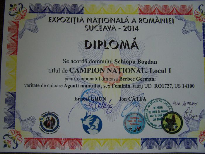 131_0419 - campion national Romania Suceava 2014