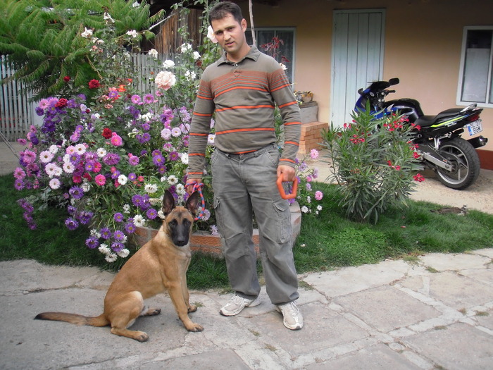 27.09.2009 mascul malinois 6 luni