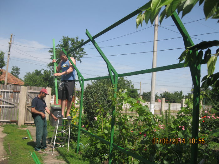 080 - Gradina de flori 2014