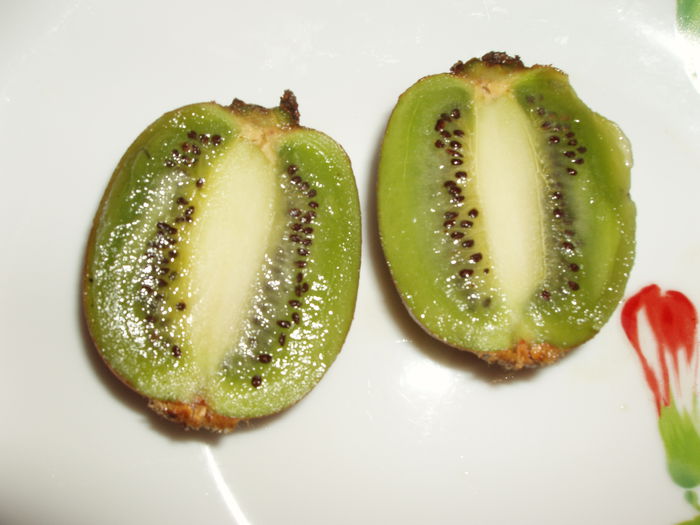 kiwi