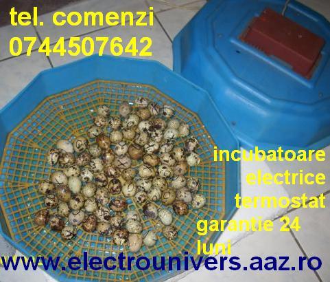 incubator termostat incubatoare oua; Comanda incubatoare electrice in tara la 0744507642. Incubator de oua cu termometru electronic CLEO.
