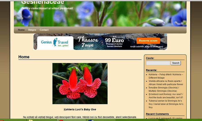 Un nou proiect; http://gesneriaceae.flori-si-plante.ro/?page_id=2
Pentru cei interesati
