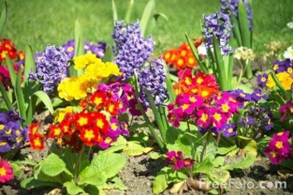 12_13_4---Flowers-in-a-Garden-Border_web[1]