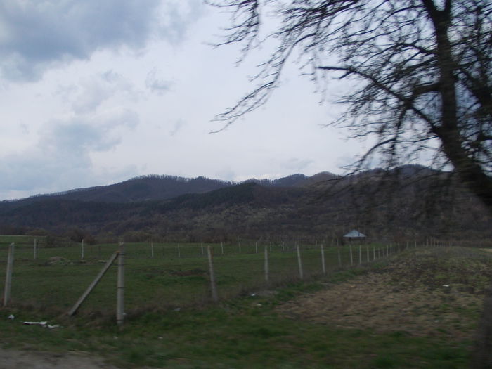 DSCN4352 - 4 Maramures