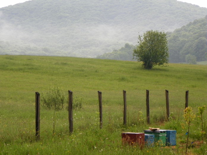 16 mai 026 - z-Dobarland 2015