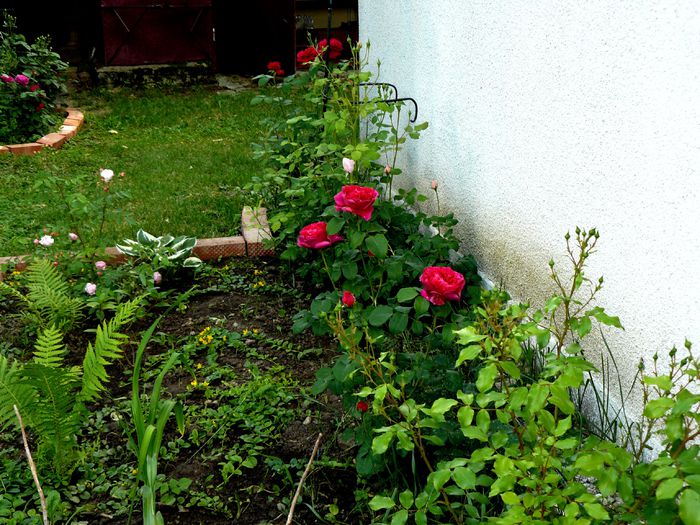 Hidden Garden - Gradina rozelor Mai 2015