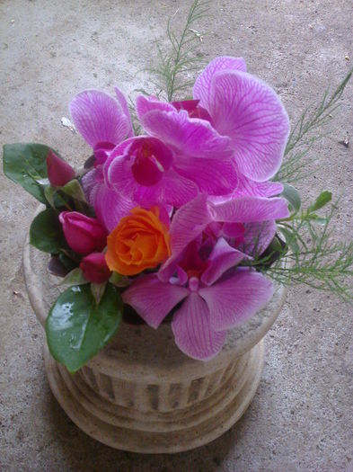 Aranjament orhidee; Realizat de mine in 10 min...compus din:
 -1 vas cupru in forma de floare-baza
 -burete imbibat in apa
 -1 fir orhidee-fl.de aceent
 -3 boboci trandafiri mov
 -1 boboc portocaliu-secundar
 -mate

