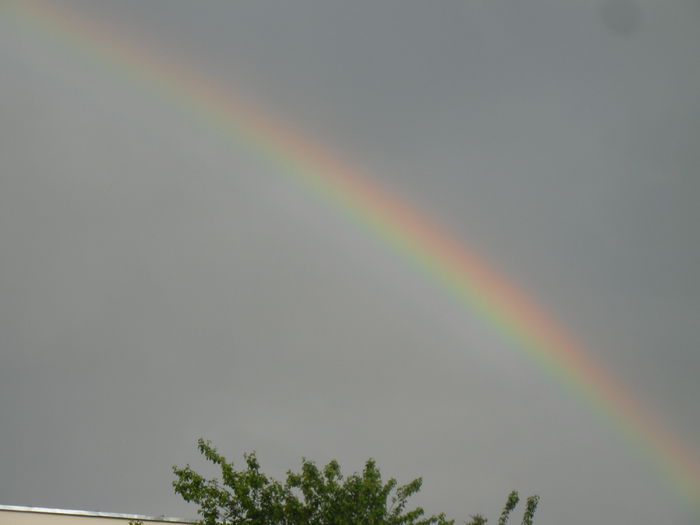 Rainbow. Curcubeu (2015, May 03)