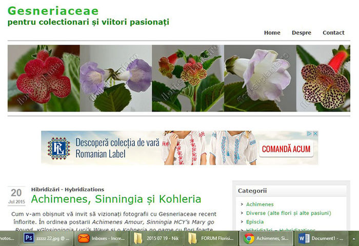 Noua fata a blog-ului; http://gesneriaceae.flori-si-plante.ro/?page_id=2 Pentru cei interesati
