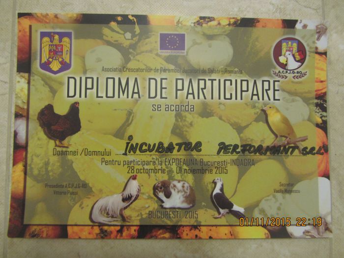Diploma participare Indagra