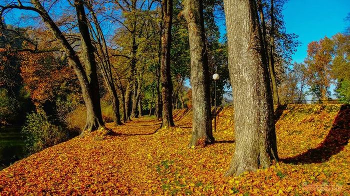  - toamna in parc