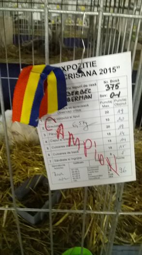 WP_20151213_038 - Expozitia Oradea Cupa Crisana Editia a II 11-13 decembrie 2015