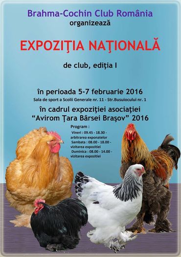 EXPOZITIE CLUB BRAHMA-COCHIN