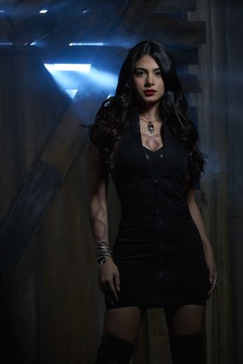 Shadowhunters (38) - Shadowhunters