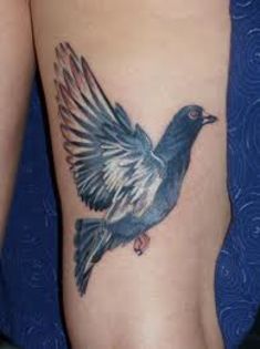 pigeon-tattoo - 0  About