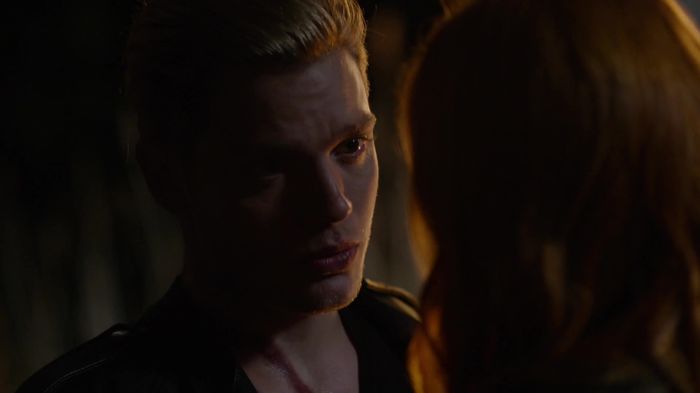 Shadowhunters (68) - Shadowhunters