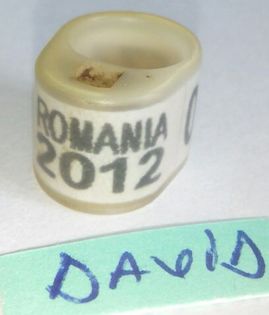 2012-Romania