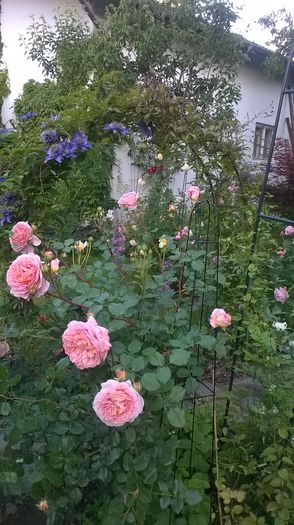 WP_20160527_109 - Abraham Darby