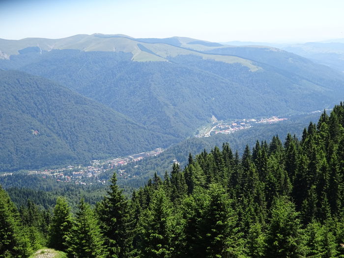 DSC09536 - Sinaia - Cota1400 - Cota2000