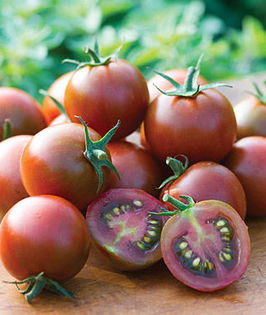 Tomate Sunchocola F12