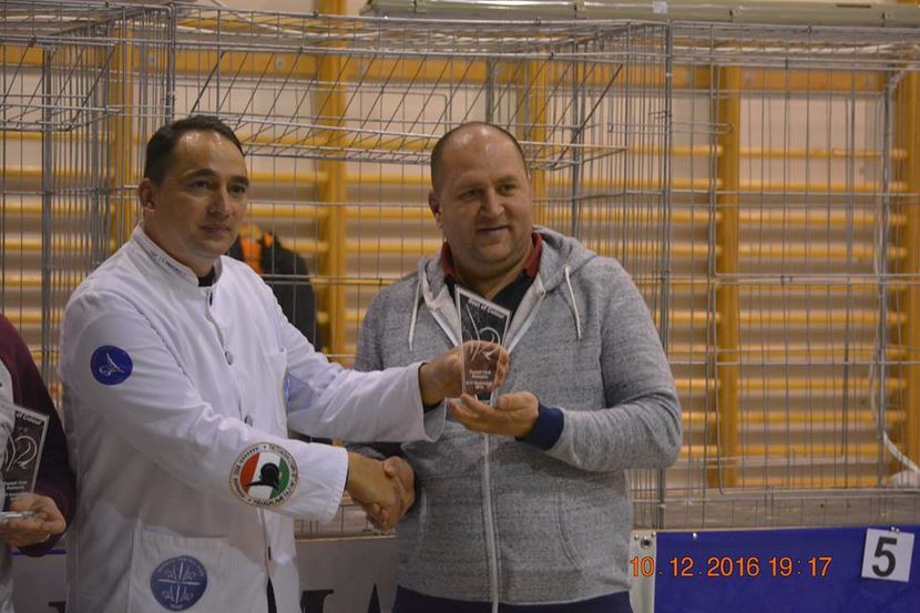 15337422_1153240501457495_2046389013227605322_n - Expozitia specializata Fantail Club Romania 2016