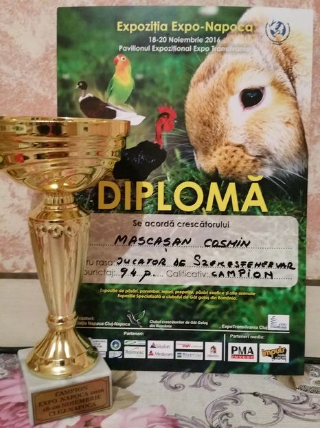 Campion rasa Expo napoca 2016 - Cupe si medalii