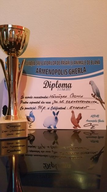 Expo GHERLA ARMENOPOLIS 2017 - Cupe si medalii