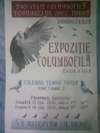 d - O- Expozitia Turda 2010