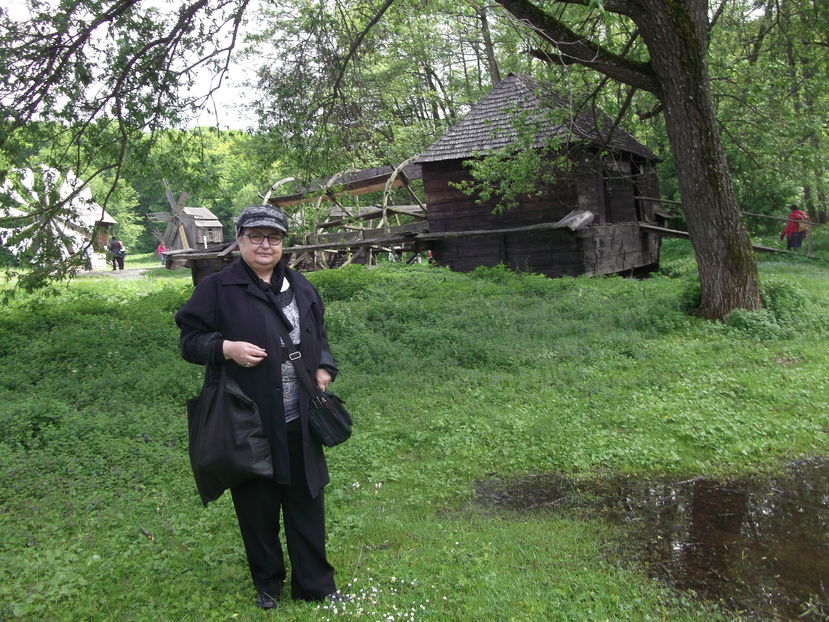  - Excursie de o zi in SIBIU