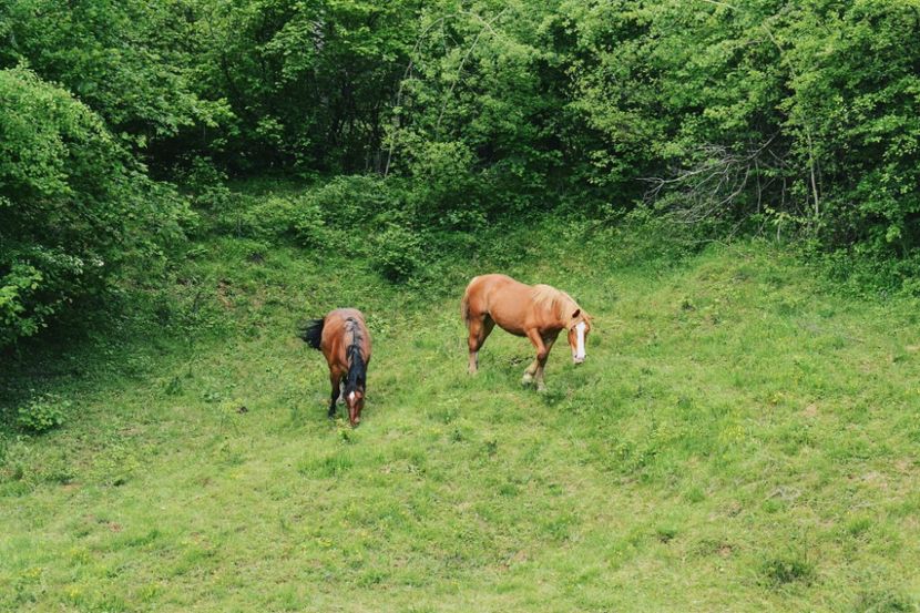  - Photo 07 - Mai 2017