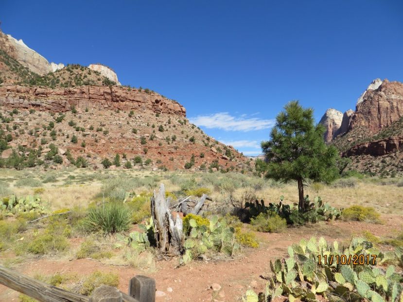  - SUA2_Valley of Fire_Zion National Park_Bryce Canyon_Grand Canyon