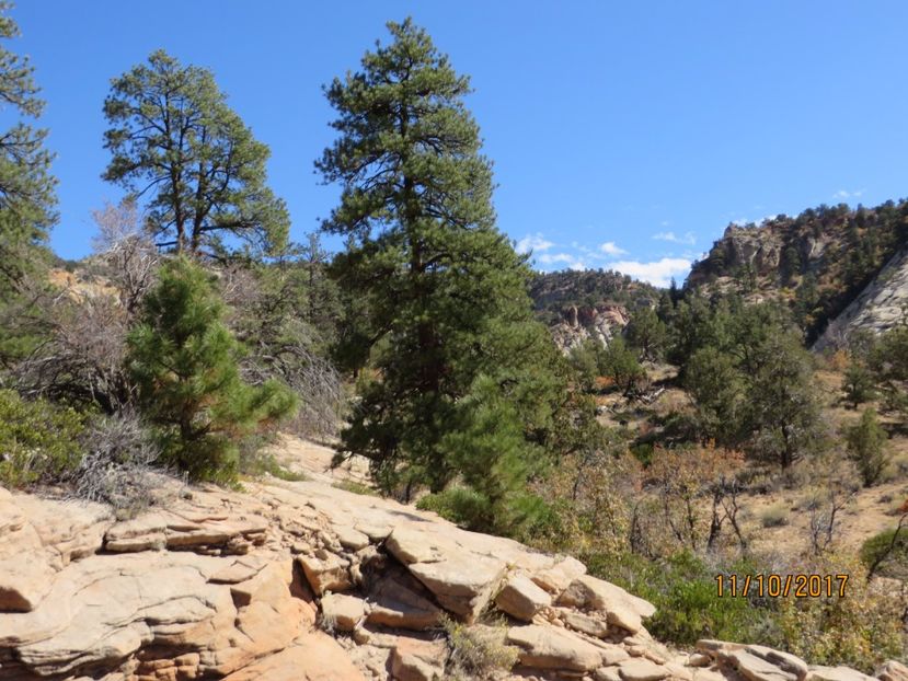  - SUA2_Valley of Fire_Zion National Park_Bryce Canyon_Grand Canyon